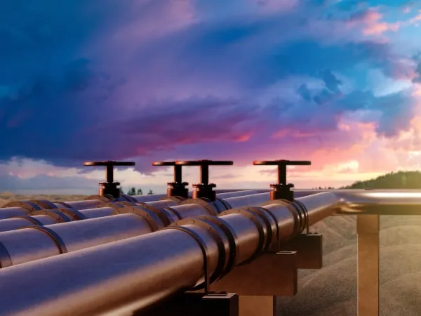Gas Distribution Networks