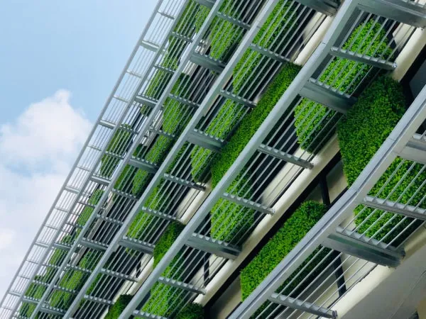 Plant buildings