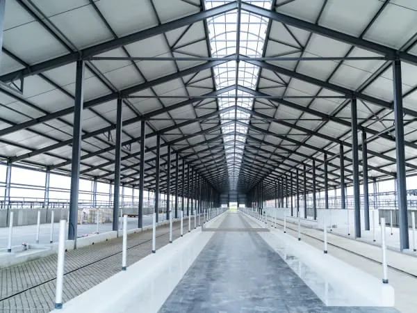Industrial sheds